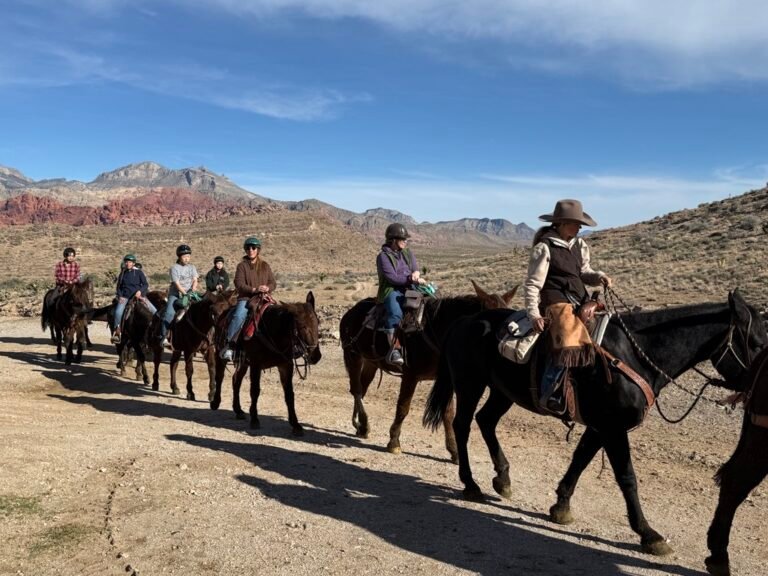 red rock cheval