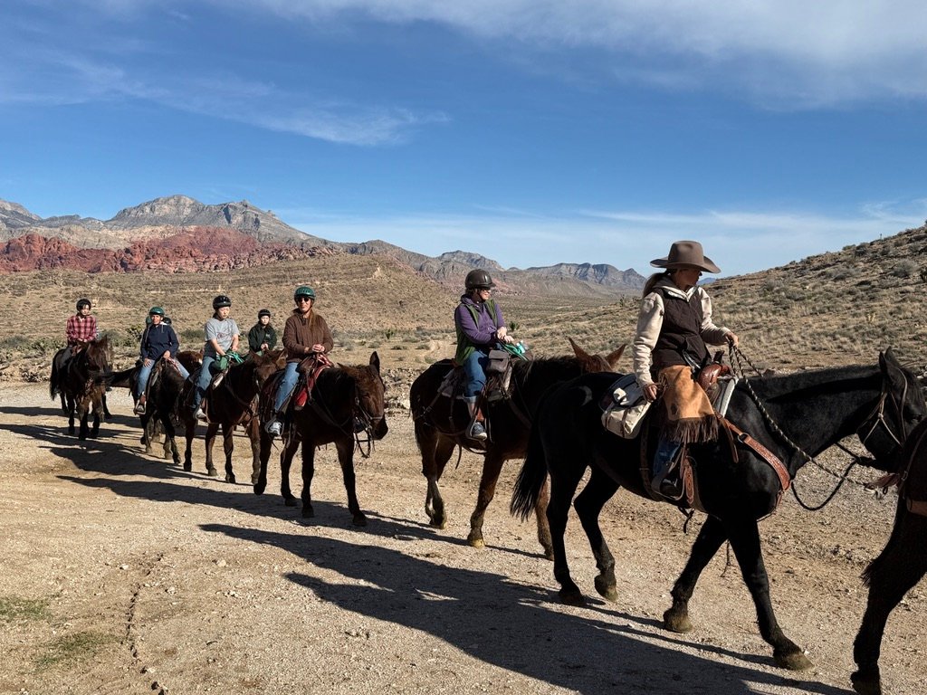 red rock cheval